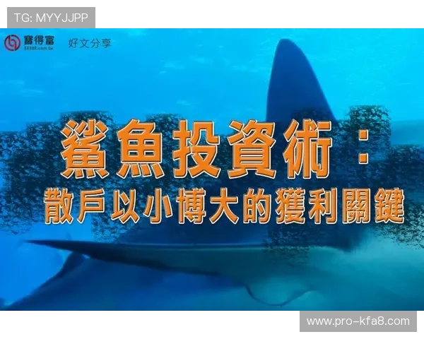 如何利用k8体育官网的优惠活动提升游戏体验与获利机会